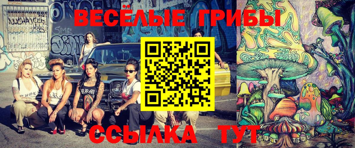 Псилоцибиновые грибы мухоморы  Вход с VPN  Котлас 